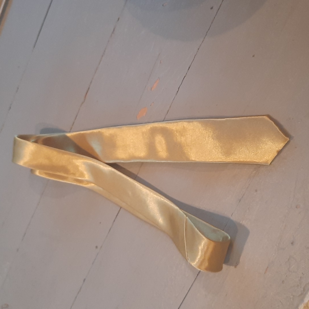 Skinny Gold Tie by Moda di Raza